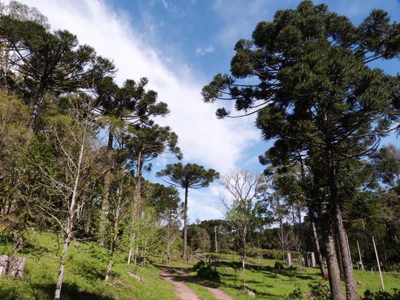Casarao Da Cascata * Gramado